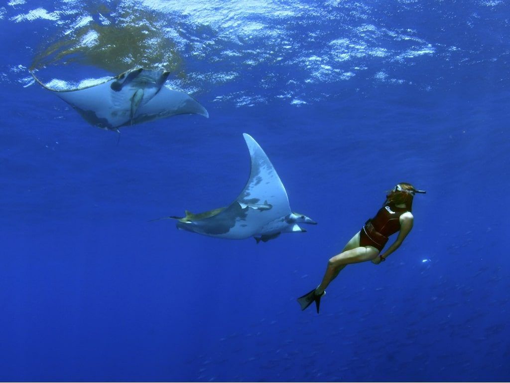 Buceo isla de Santa María