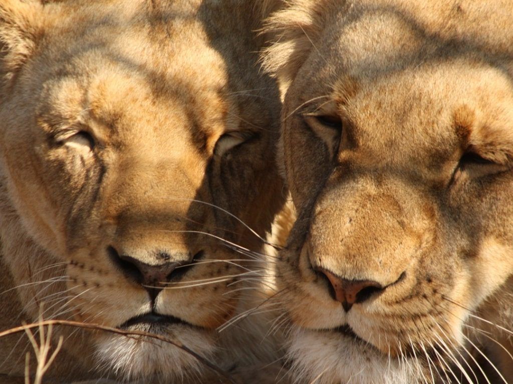 Kruger National Park