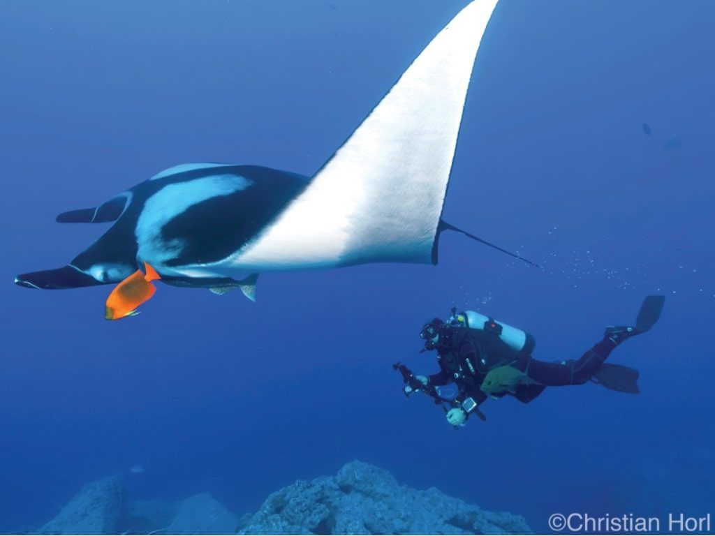 Viaje de buceo Socorro