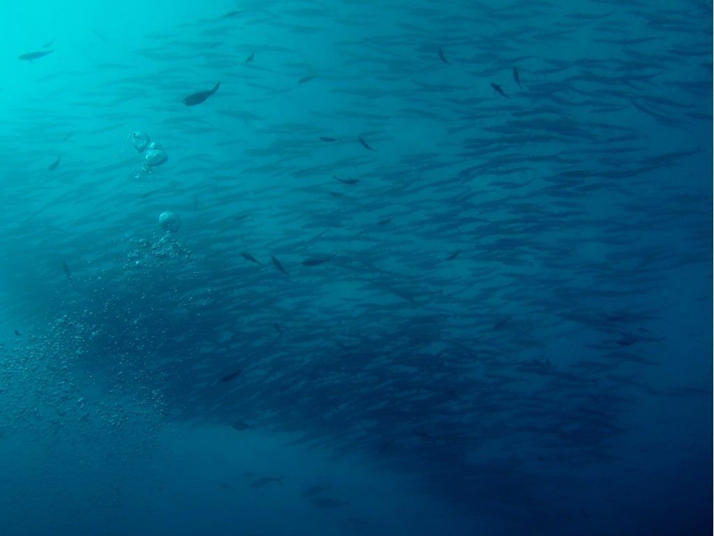 Viaje a Sipadan