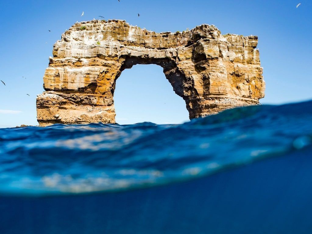Galápagos