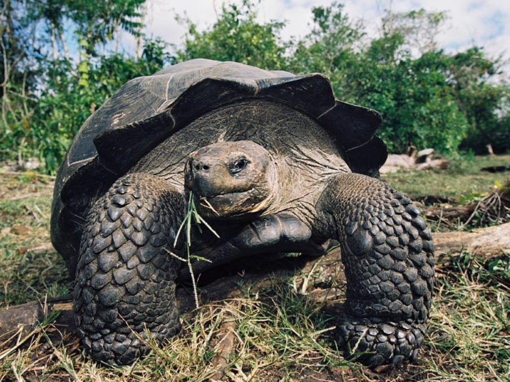 Excursiones en Galápagos