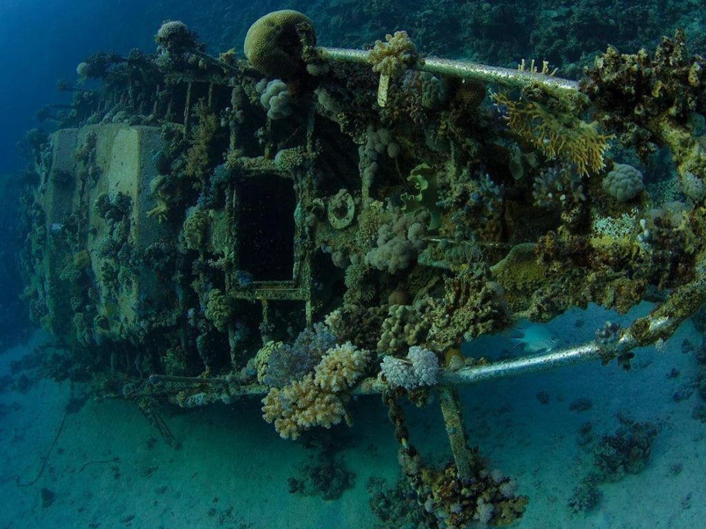 Viaje de buceo Mar Rojo