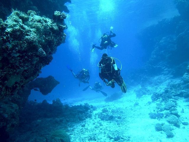 Buceo en el Mar Rojo, Egipto